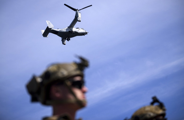 0313北约.jpg 0313北约.jpg