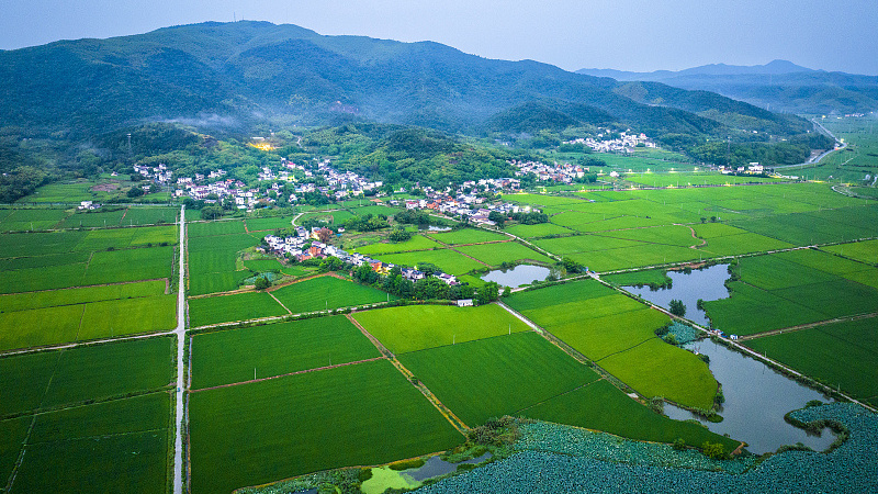 200d797901914d3592251e3e494726da.jpg 200d797901914d3592251e3e494726da.jpg