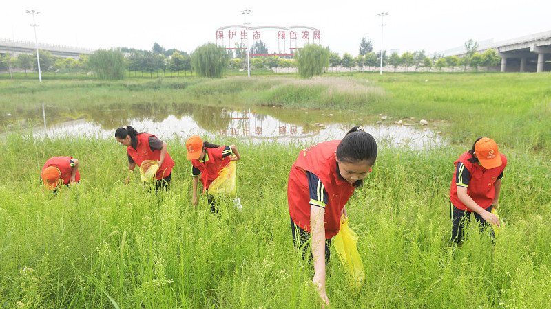 22b384c458de40afbac5430f1ad32f7b.jpg 22b384c458de40afbac5430f1ad32f7b.jpg