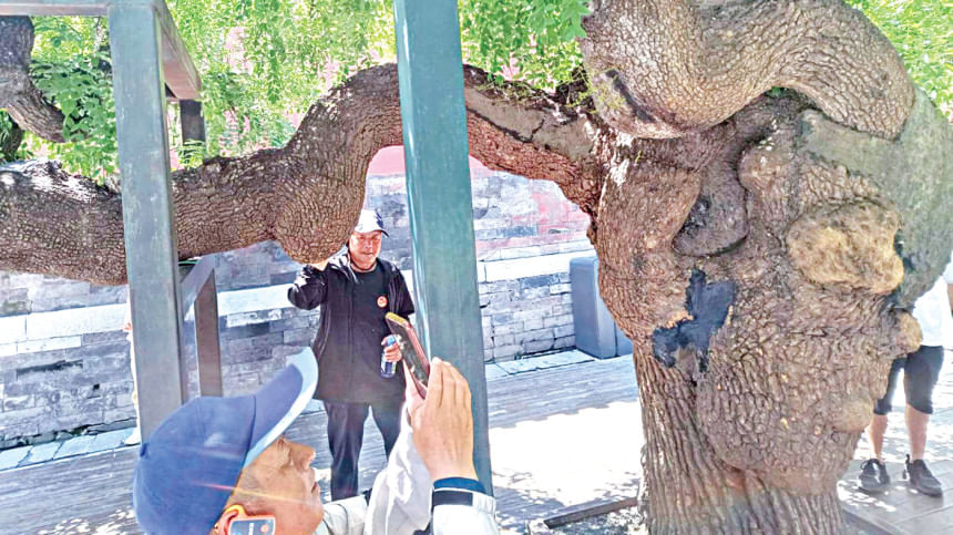 forbidden-city-7.jpg forbidden-city-7.jpg