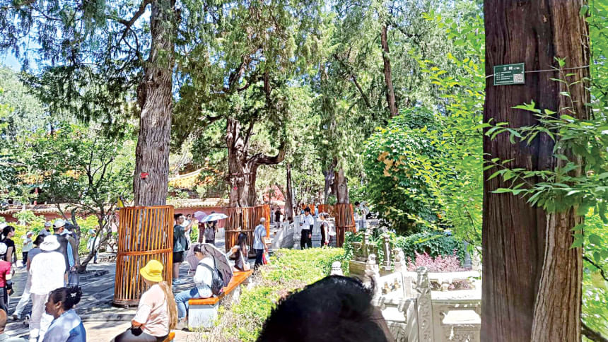 forbidden-city-10.jpg forbidden-city-10.jpg