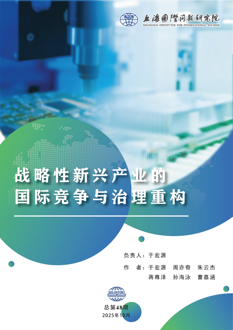 SIIS Report No.48_2025_CHN_战略性新兴产业的国际竞争与治理重构(2)(1)(1)-01.png SIIS Report No.48_2025_CHN_战略性新兴产业的国际竞争与治理重构(2)(1)(1)-01.png