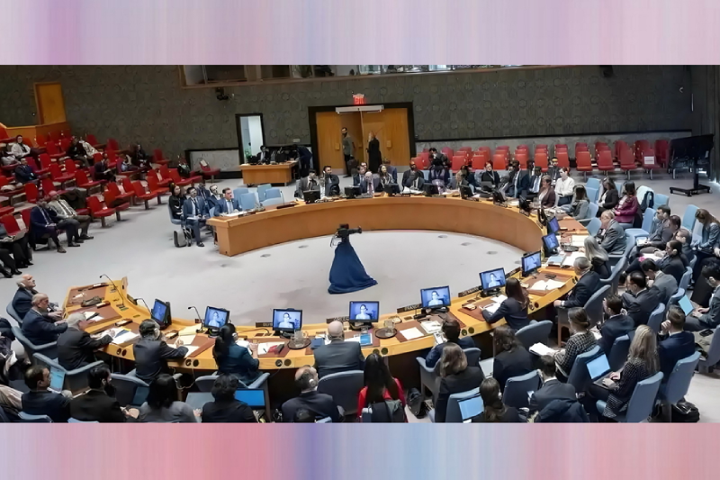 l_CB20251128125740970063.png l_CB20251128125740970063.png