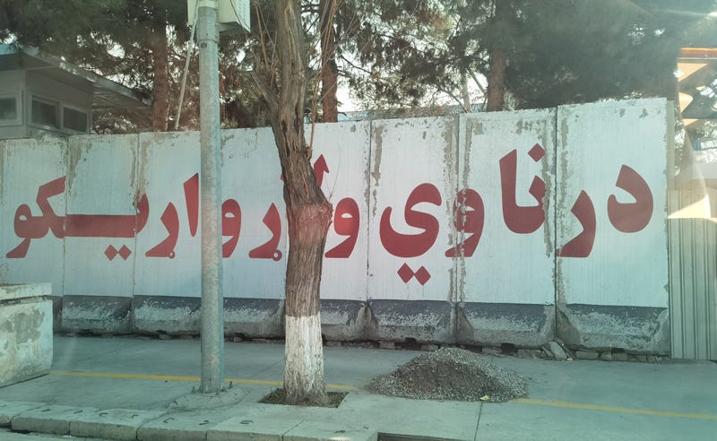 55a2762c-8ad1-4849-a5c9-e419ce42529c_800x492.jpg