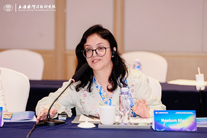 巴基斯坦尼加尔.png 巴基斯坦尼加尔.png